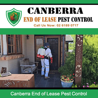 End of lease pest control service being performed at Canberra home exterior