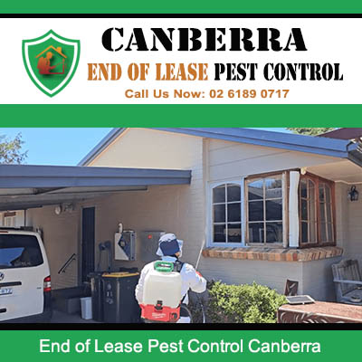 End of lease pest control treatment at residential driveway in Canberra ACT